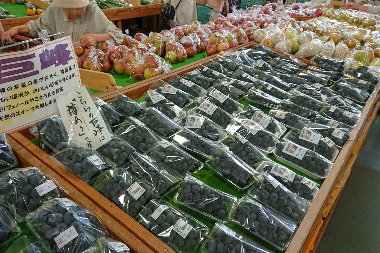 JA信州うえだ直売所センター｜朝一で良い野菜をゲット！ - 上田旅